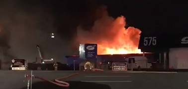 Rising from the Ashes