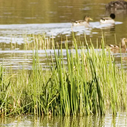 Environmental Solution Header Image