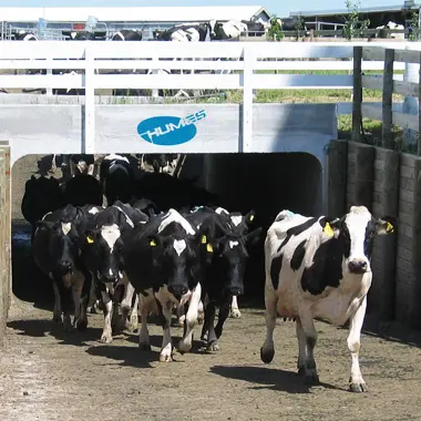 Rural Solution Ask our Experts Image