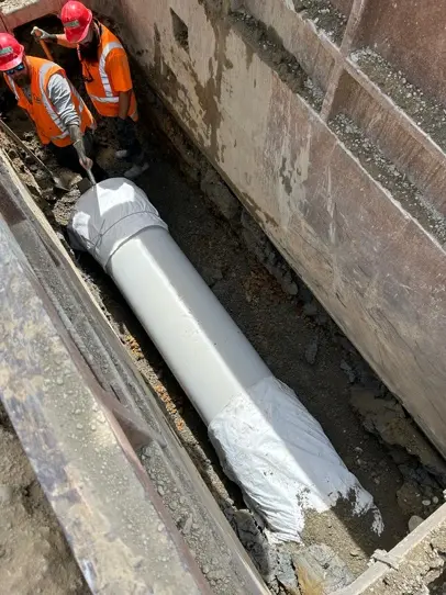 A1F1DC55 AA46 4056 A06F 8D96595C73D3 1