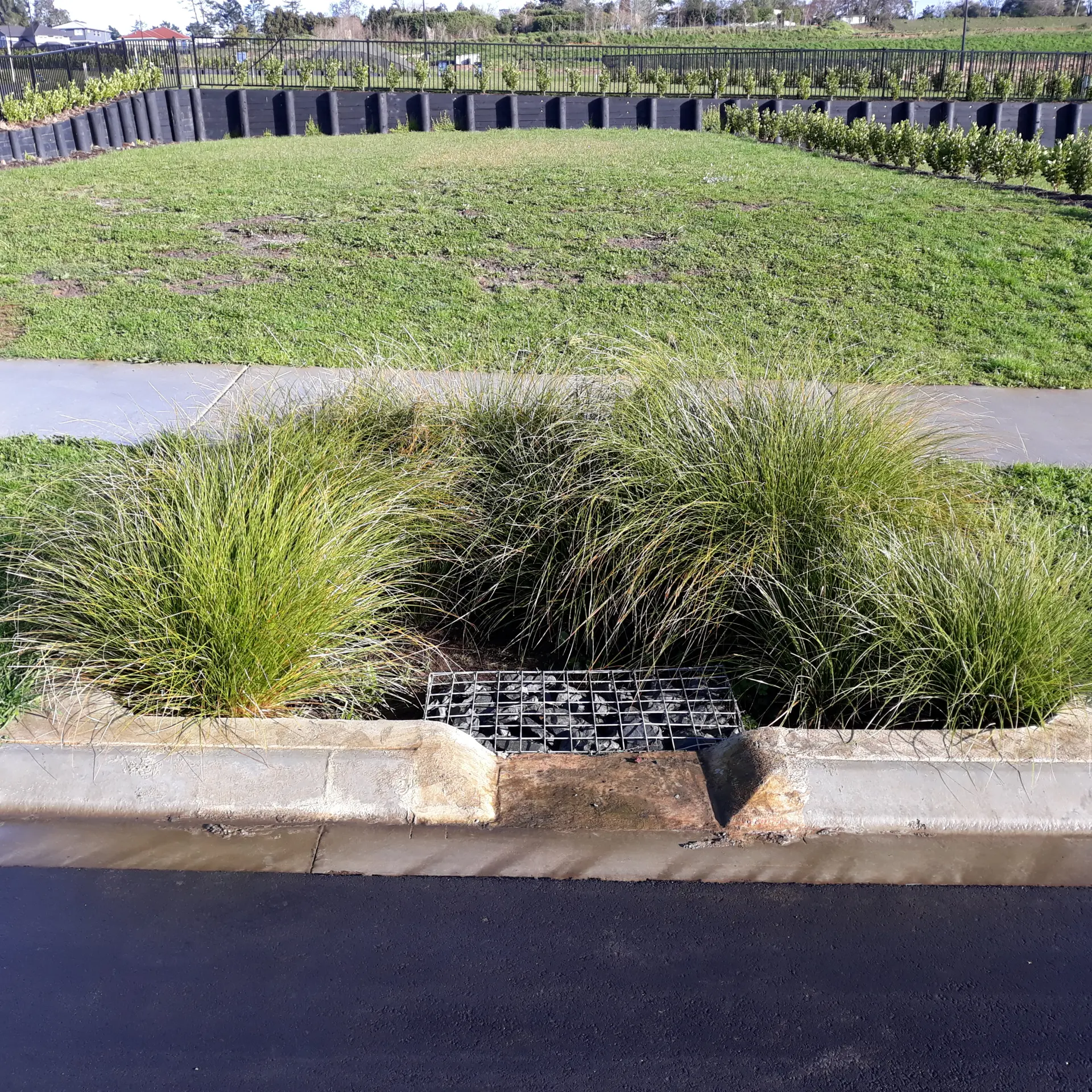 Humes rain garden surrounds installed in Kumeu